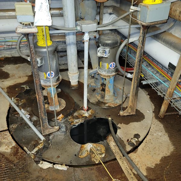 Brooklyn College (pump replacement)_20201201_110222